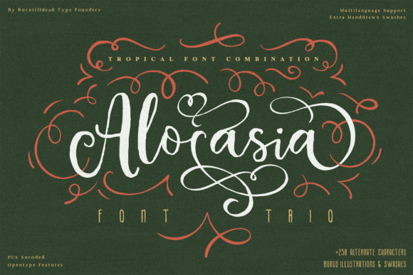 Alocasia: A Versatile Trio Font for Web Design