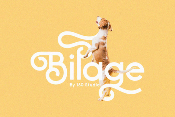 Bilage: A Handwritten Font for Modern Editorial Design