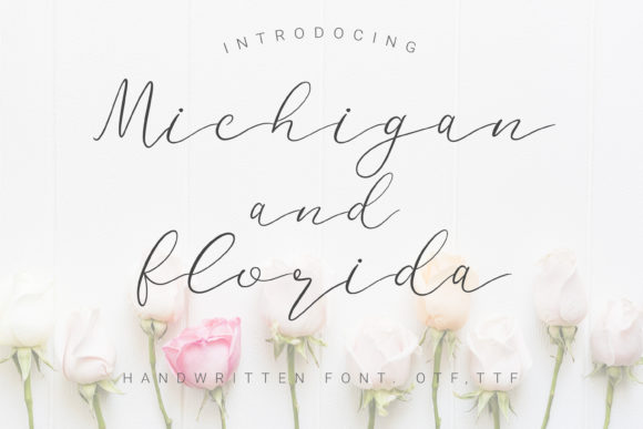 Michigan and Florida: A Handwritten Font for Web Design